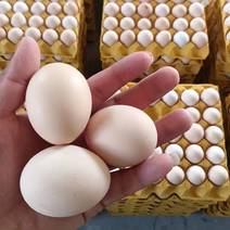 鸡蛋精品大午金凤鸡蛋土鸡蛋粉蛋360枚33-34