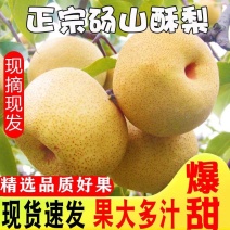陕西大荔砀山酥梨果大多汁免费看货电商市场商超外贸