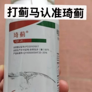 专治抗性蓟马高效专用药琦蓟@一喷净效果好于进口药