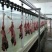 嘉祥兔肉一手货源屠宰场直发货源充足新鲜美味