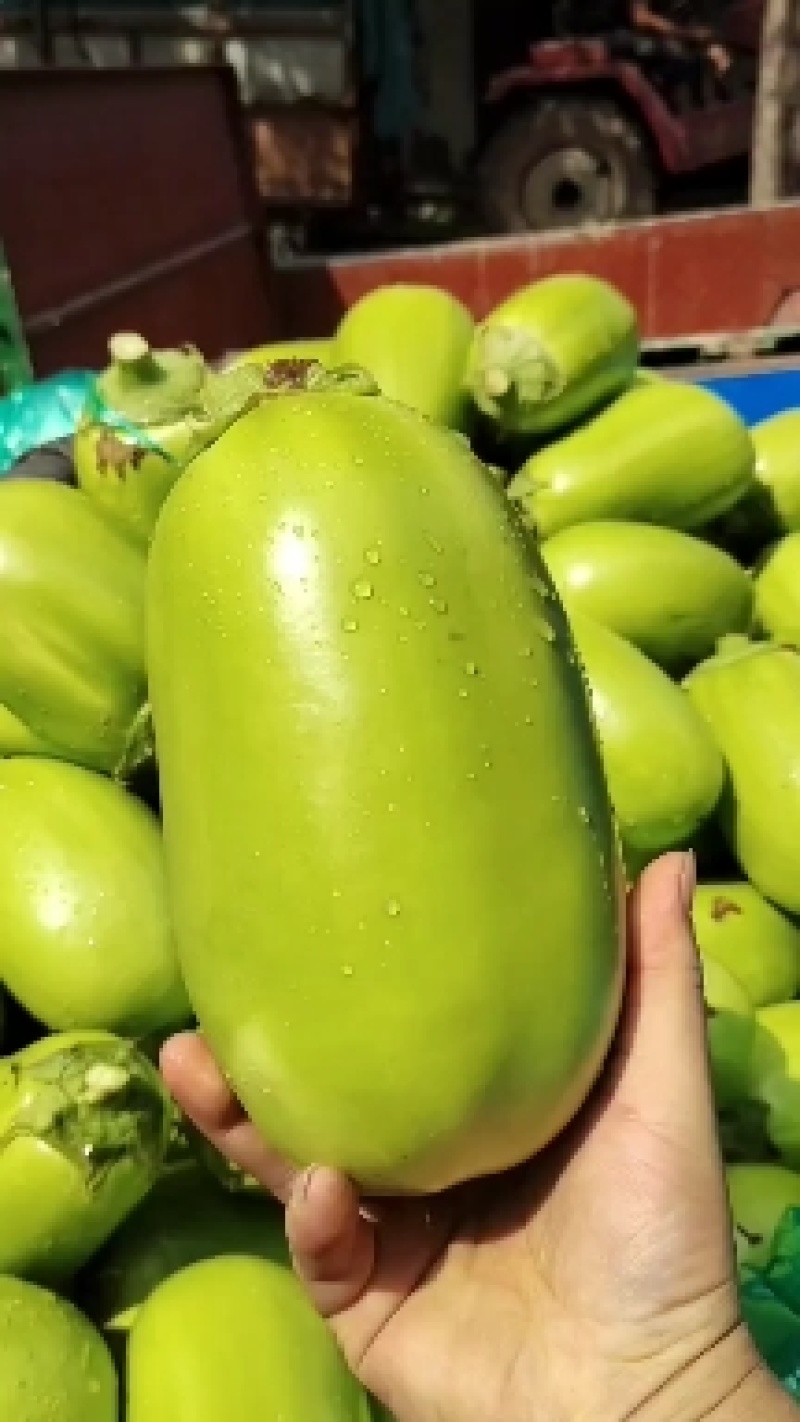 货源充足价格美丽