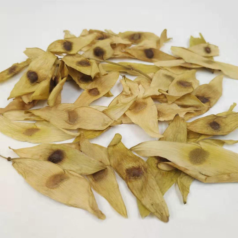 凤眼草丑树铃铛干货2斤包邮量大优惠