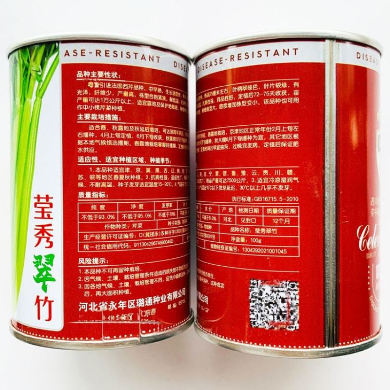 凯撒大帝西芹种子高产黄嫩纤维少定植80天采收耐低温芹菜种