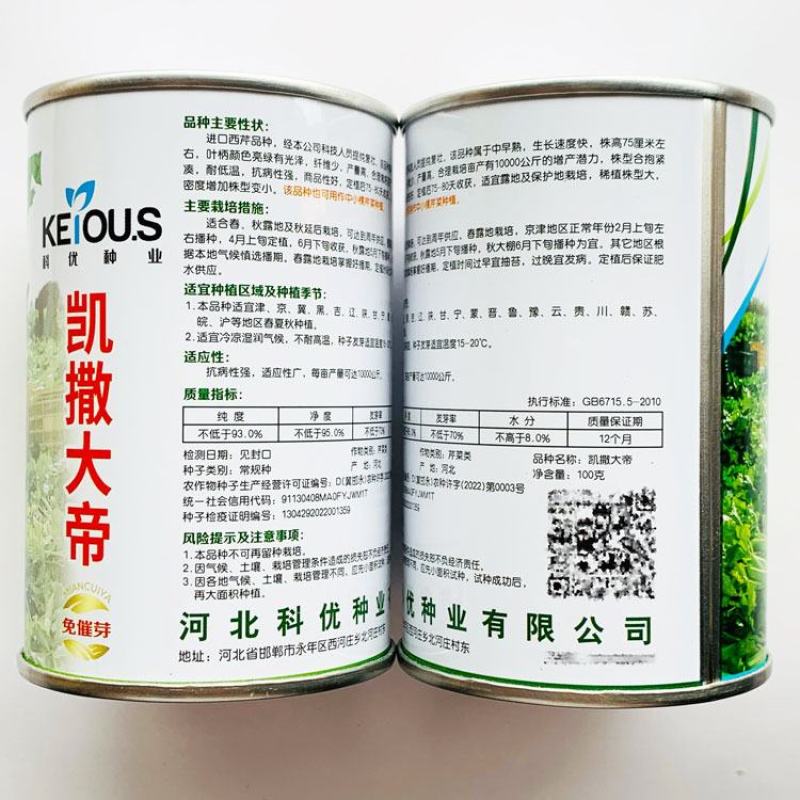 凯撒大帝西芹种子高产黄嫩纤维少定植80天采收耐低温芹菜种