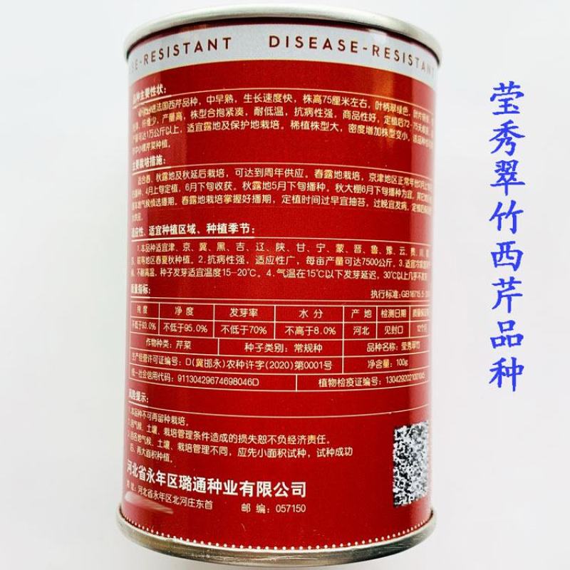 凯撒大帝西芹种子高产黄嫩纤维少定植80天采收耐低温芹菜种
