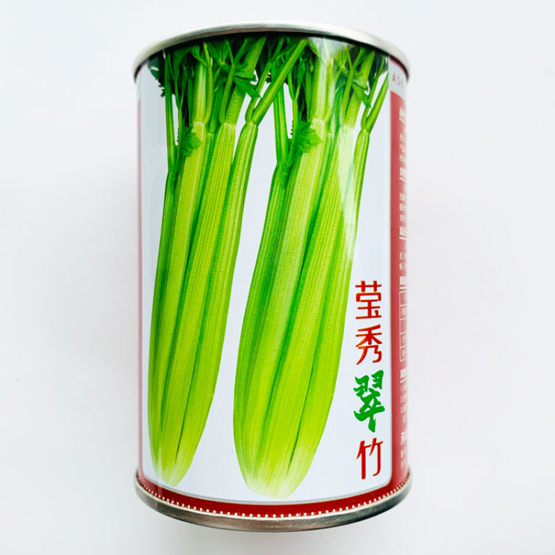 凯撒大帝西芹种子高产黄嫩纤维少定植80天采收耐低温芹菜种