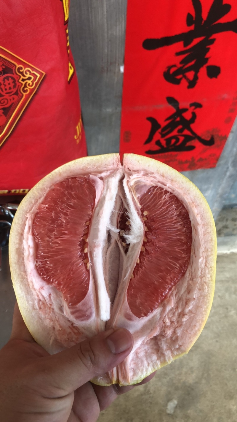 漳州平和红心柚三红柚支持一件代发，团购对接，大批量批发