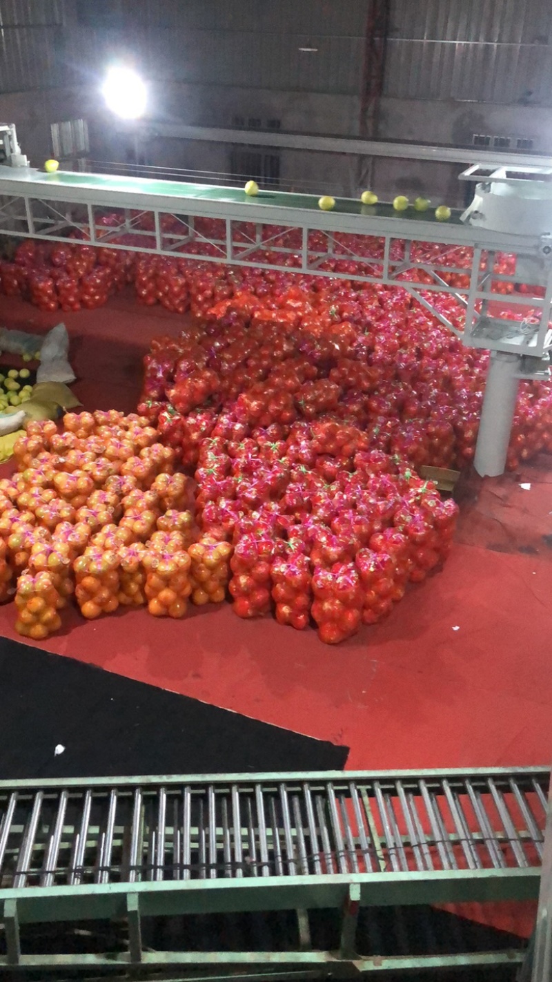漳州平和红心柚三红柚支持一件代发，团购对接，大批量批发