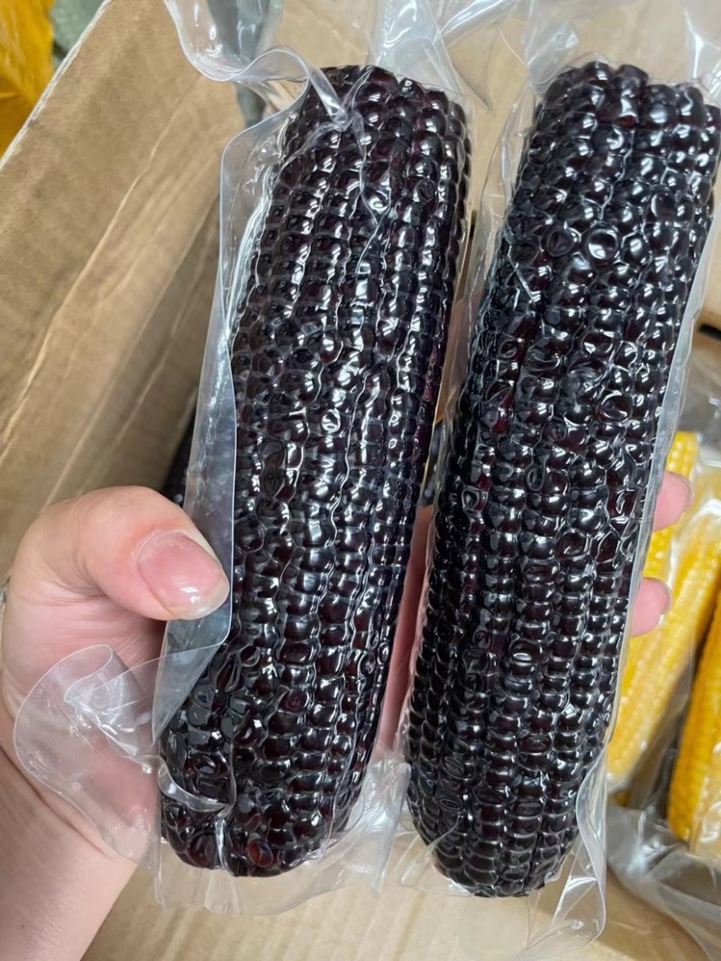 糯玉米，正空包装，全熟糯玉米