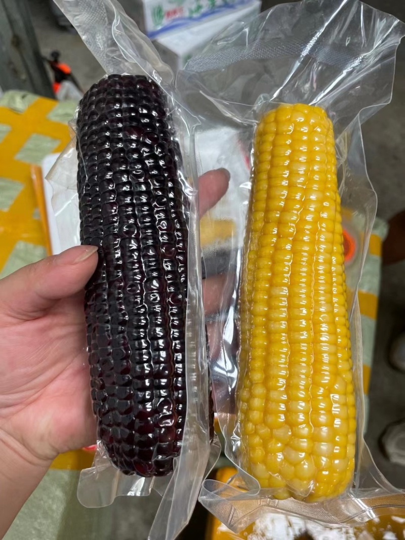 糯玉米，正空包装，全熟糯玉米