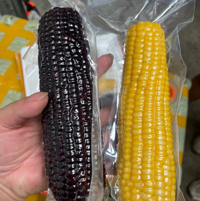糯玉米，正空包装，全熟糯玉米