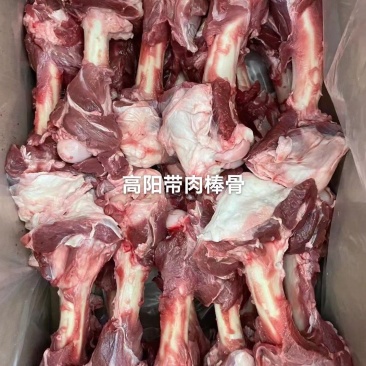 吸骨髓。满肉羊棒骨