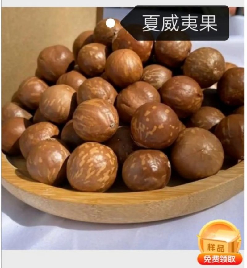 广西玉林夏威夷果坚果预订北京免费领样品