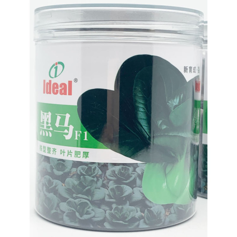 理想苏菲娜黑马矮脚黑菜种子高产耐寒特矮黑油亮大头束腰黑菜