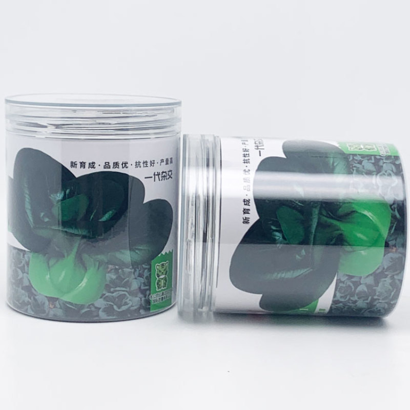 理想苏菲娜黑马矮脚黑菜种子高产耐寒特矮黑油亮大头束腰黑菜