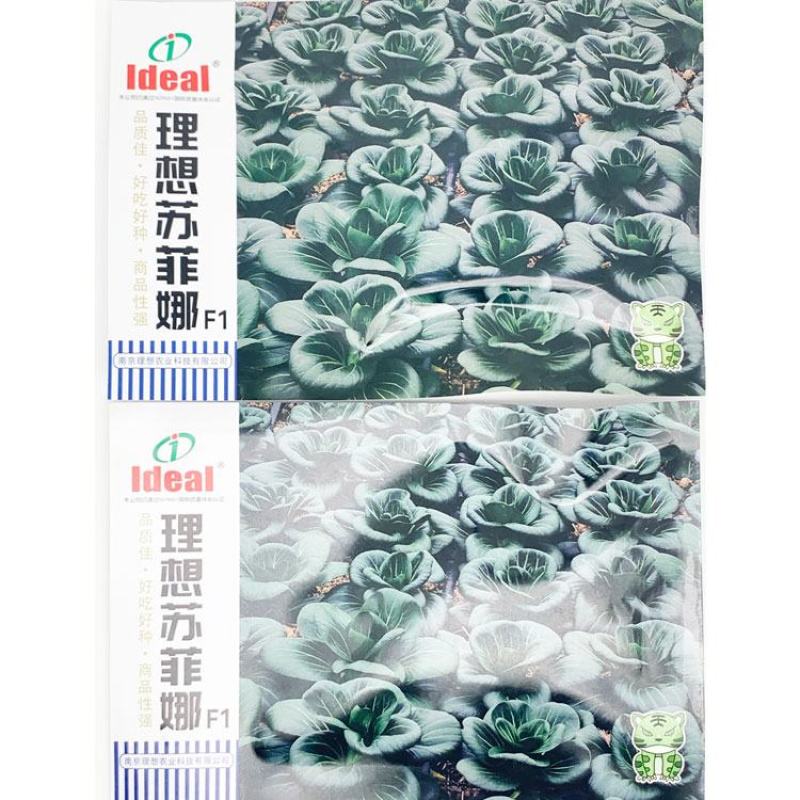 理想苏菲娜黑马矮脚黑菜种子高产耐寒特矮黑油亮大头束腰黑菜