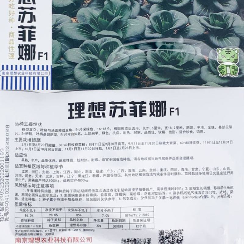 理想苏菲娜黑马矮脚黑菜种子高产耐寒特矮黑油亮大头束腰黑菜