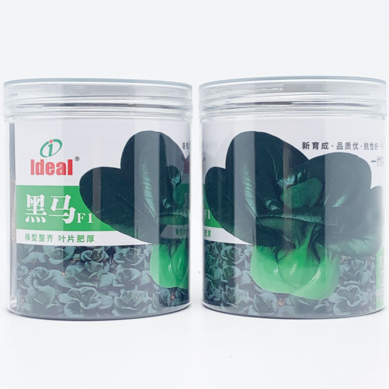 理想苏菲娜黑马矮脚黑菜种子高产耐寒特矮黑油亮大头束腰黑菜