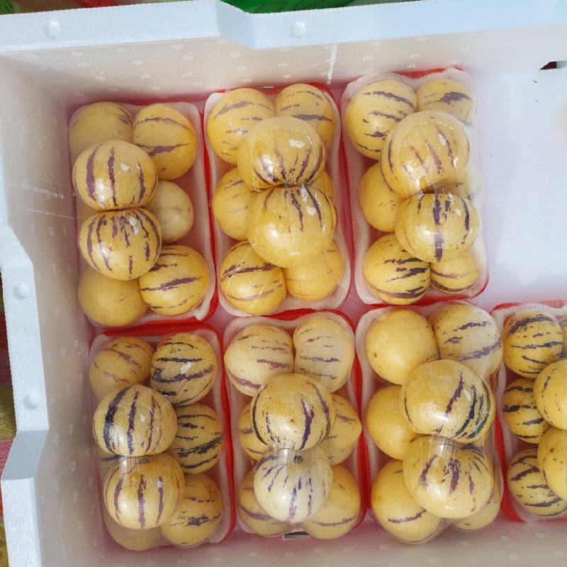 云南人参果，当季节，精品果子，清甜多汁，基地直供，质量保