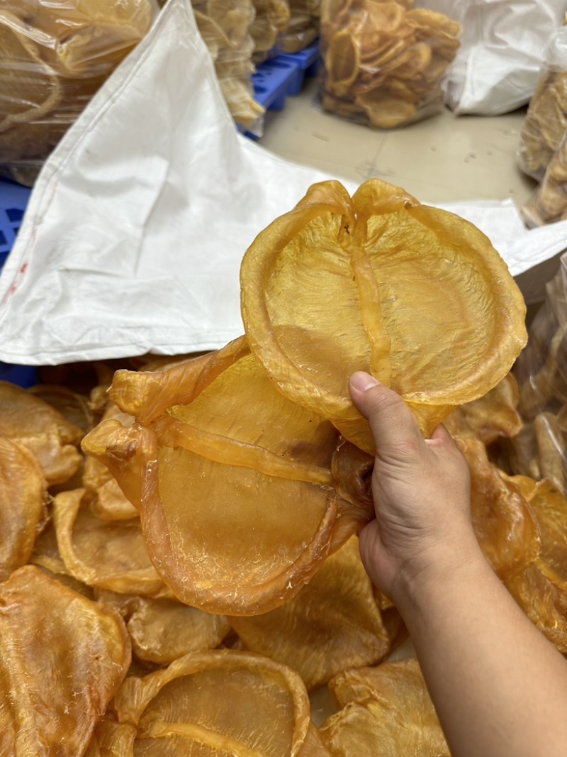精品黄花片，老货，黄花胶，黄花公