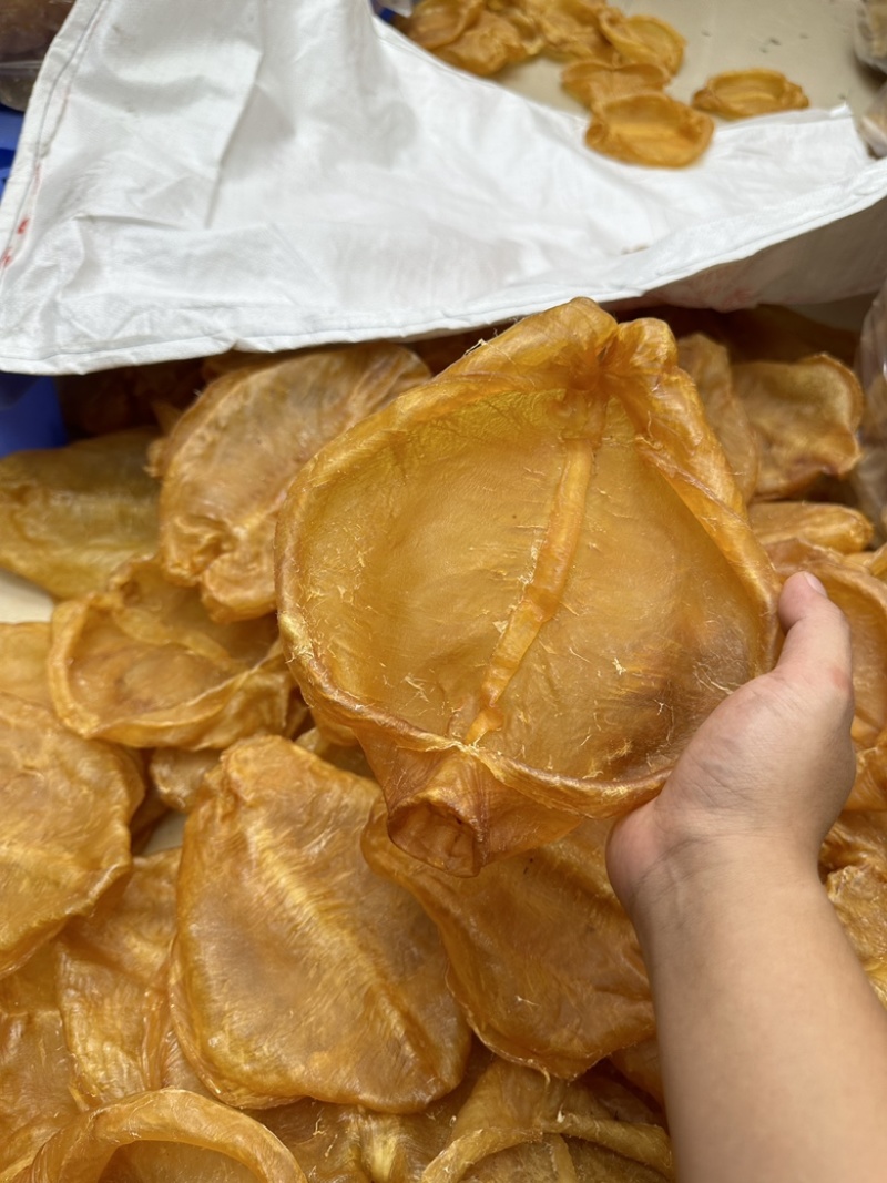 精品黄花片，老货，黄花胶，黄花公