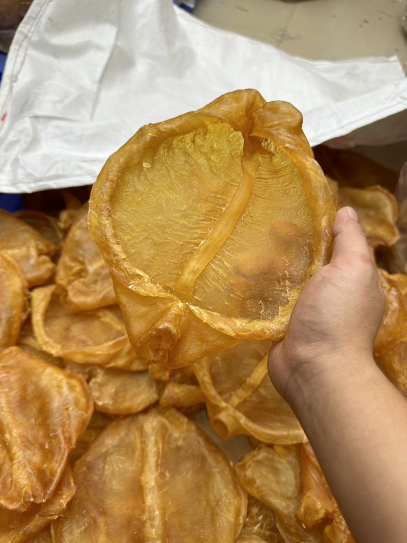 精品黄花片，老货，黄花胶，黄花公