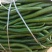 【实力】河南商丘辣椒线椒，货源充足，严选品质，可视频看货