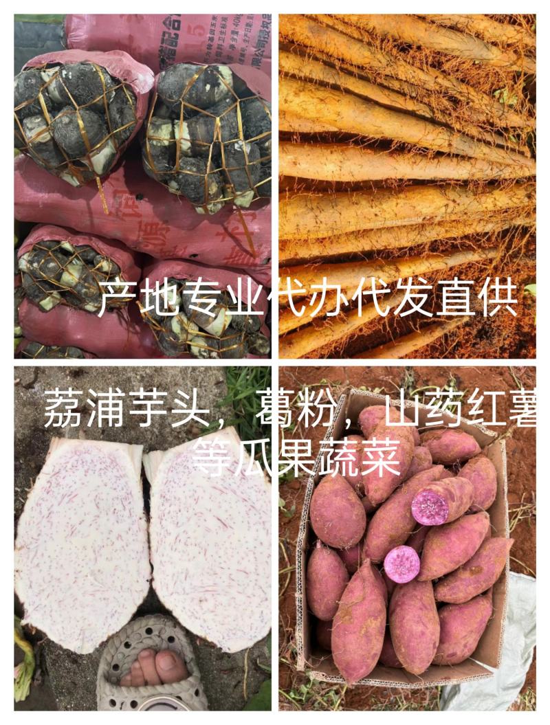 今年新上市精品现挖淮山药，黑鬼，白鬼。