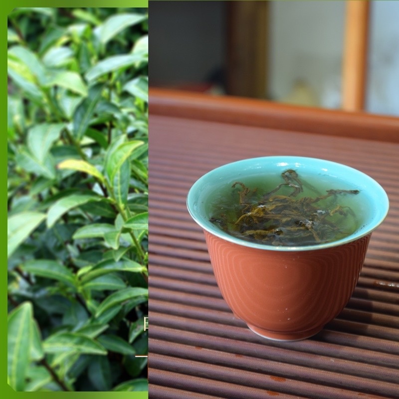 滇红茶特级云南正宗滇红茶产地直发一斤也包邮