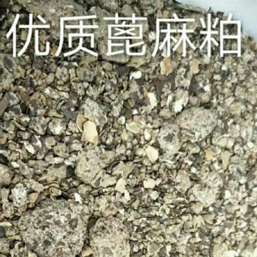 蓖麻粕高蛋白高有机质抗病杀虫货源充足