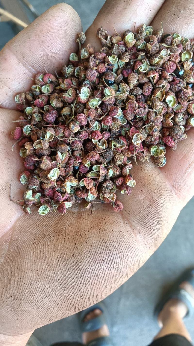 山东沂蒙山花椒