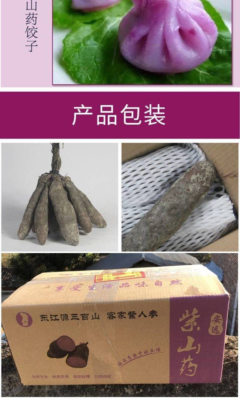 赣南紫山药