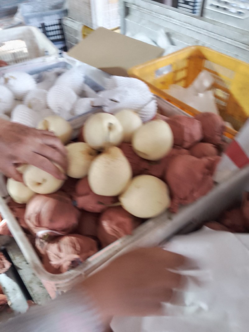 大鸭梨