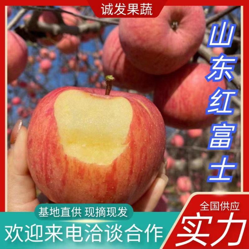 【推荐】山东红富士苹果，质优价廉，保质保量，全国发货