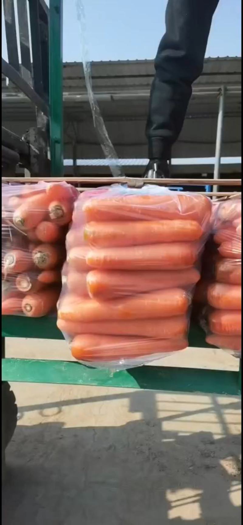 【推荐】三红胡萝卜三两以上10厘米以上带土水洗可视频看货