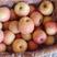 山东红富士苹果产地直供，对接全国各地，一手货源