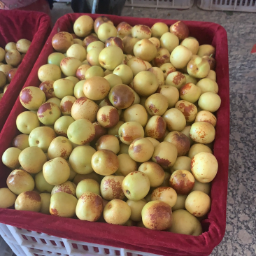大荔冬枣一件代发代办收购货源充足