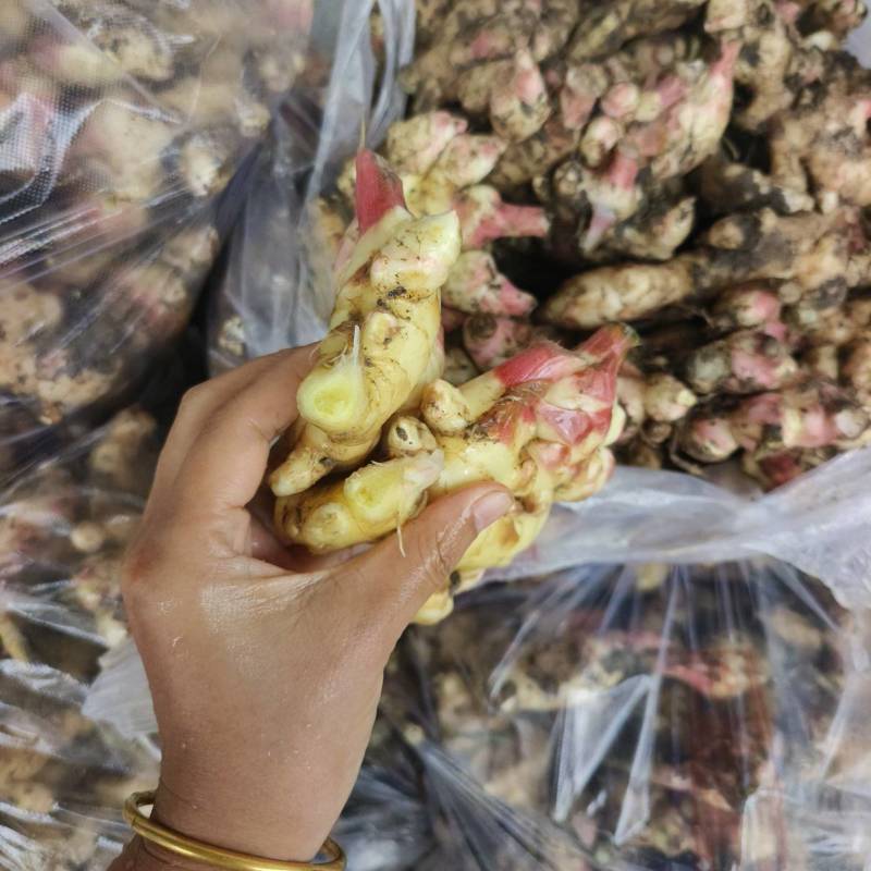 现挖大黄姜上市，自己基地直发，电商，超市专业打包
