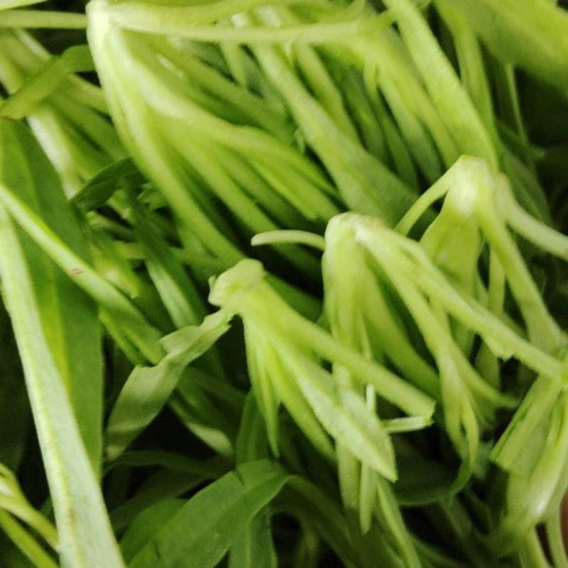面条菜一手货源，长年供应，保证质量。酒店，商超，团购，量