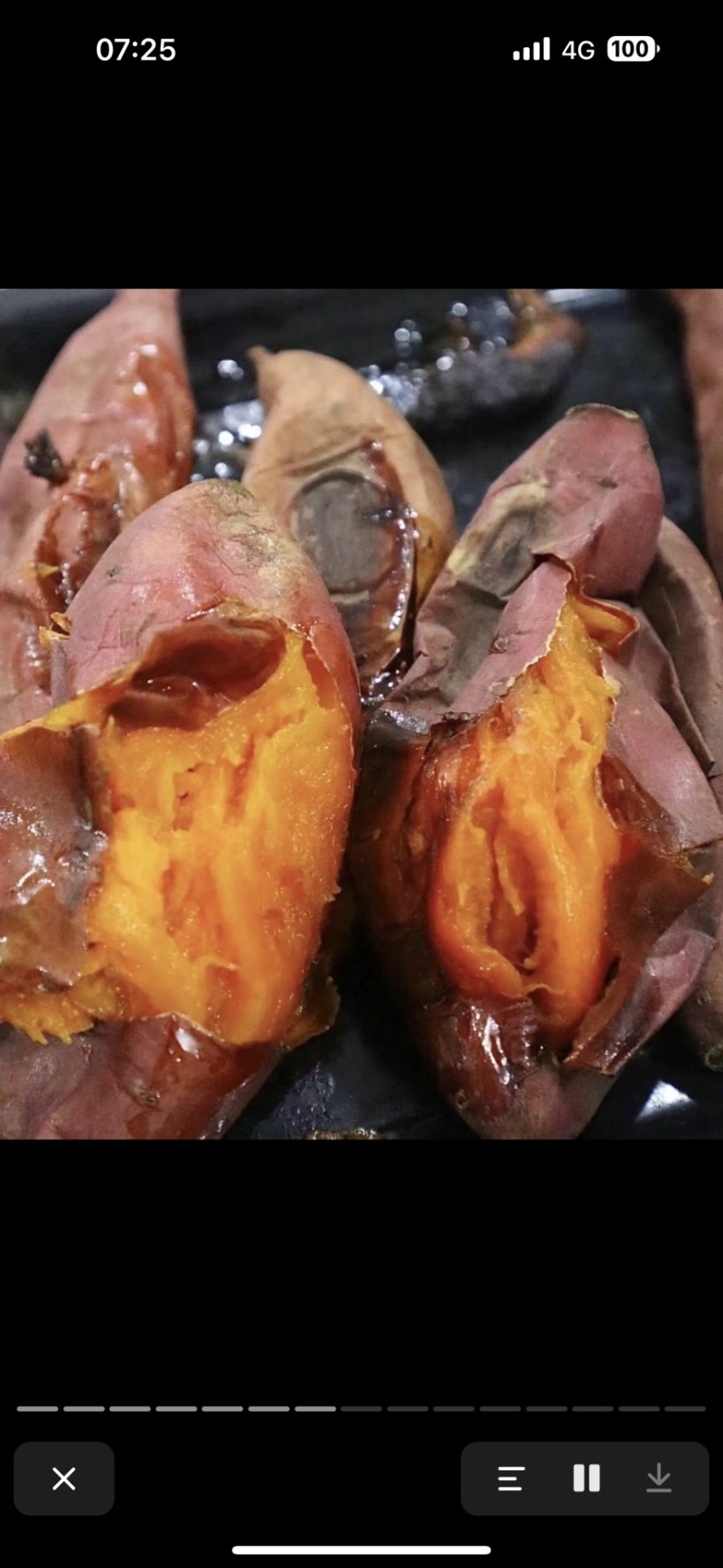 烟薯25，