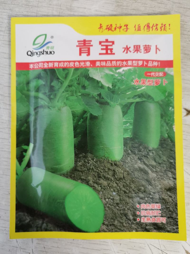 青宝水果萝卜种子青皮青肉圆筒型青萝卜种子20克袋装发货