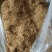 细辛，水洗辽细辛，干度新货质量保证实拍现货24小时内发货