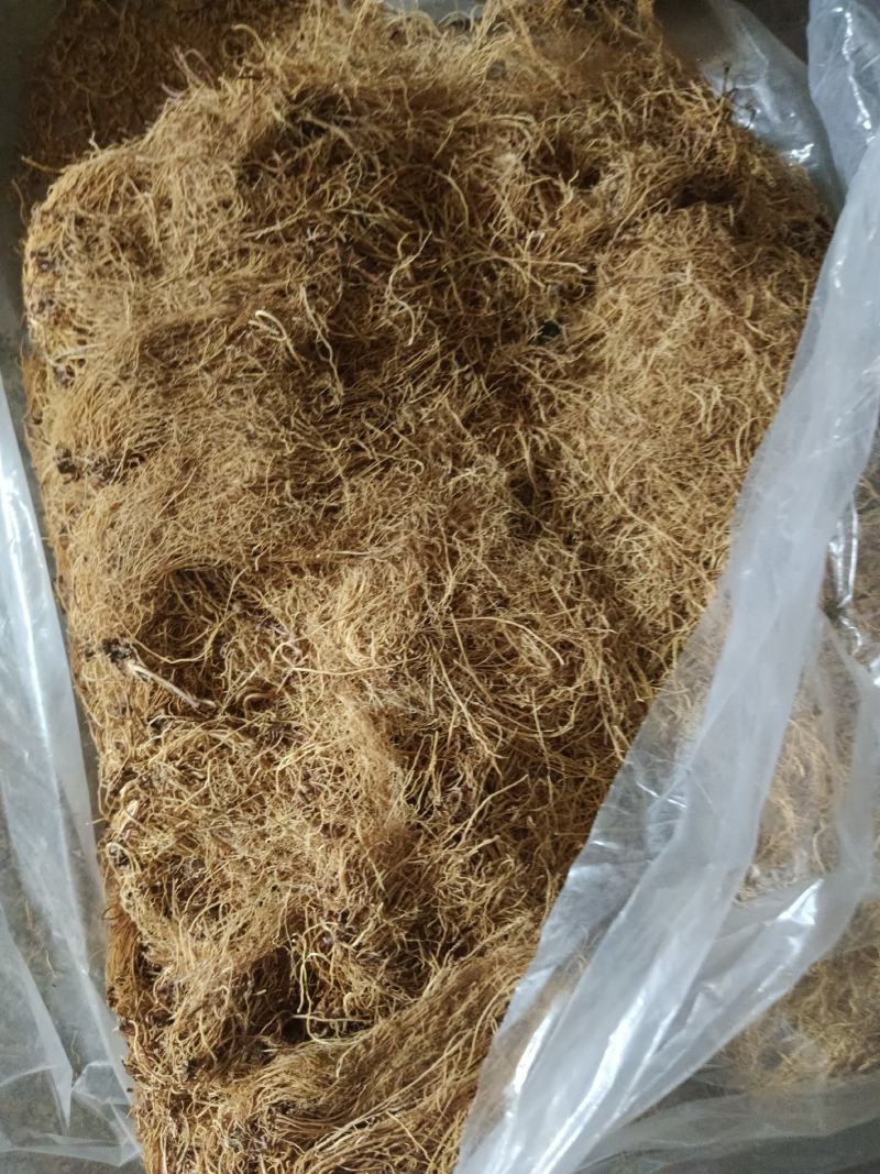 细辛，水洗辽细辛，干度新货质量保证实拍现货24小时内发货