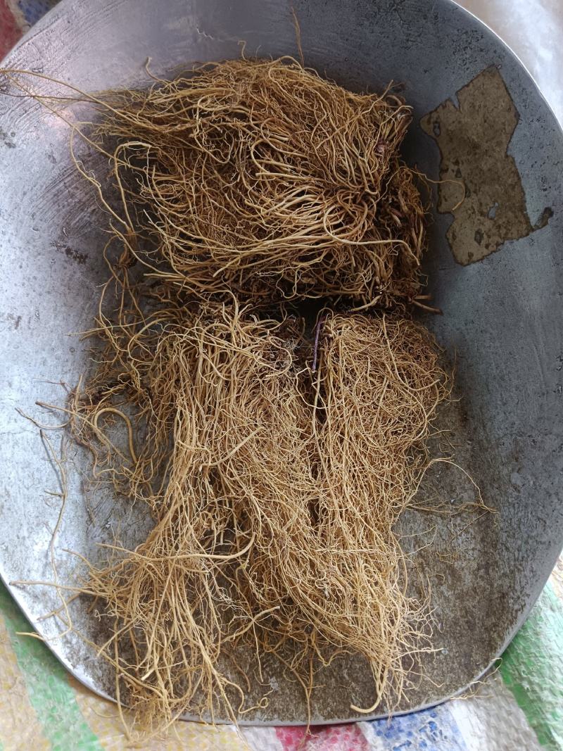 细辛，水洗辽细辛，干度新货质量保证实拍现货24小时内发货