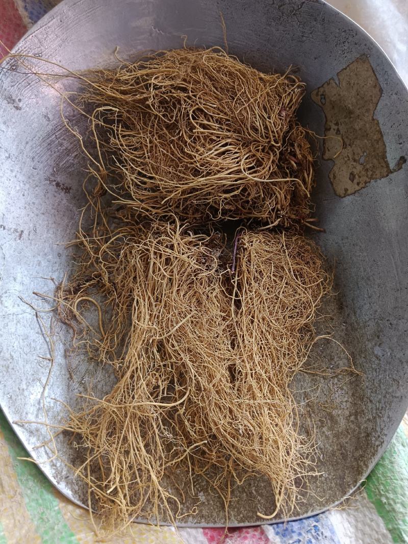 细辛，水洗辽细辛，干度新货质量保证实拍现货24小时内发货