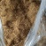 细辛，水洗辽细辛，干度新货质量保证实拍现货24小时内发货
