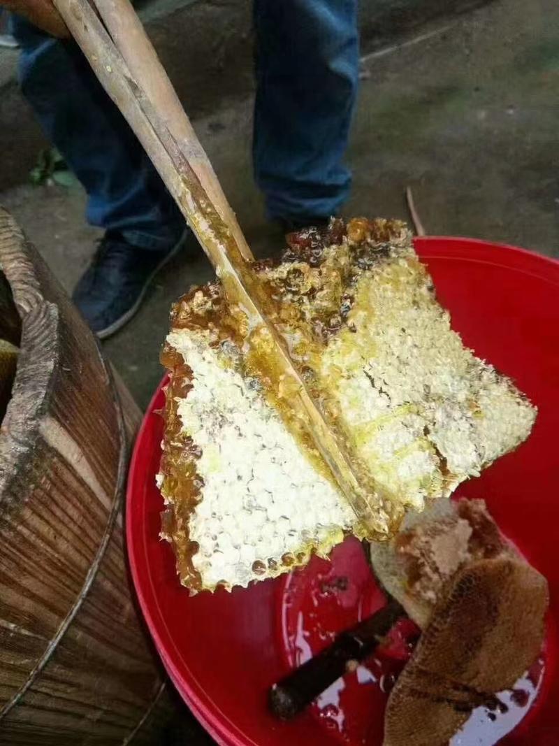 湖南波美渡蜂蜜农家土蜂蜜质量保证可视频看货