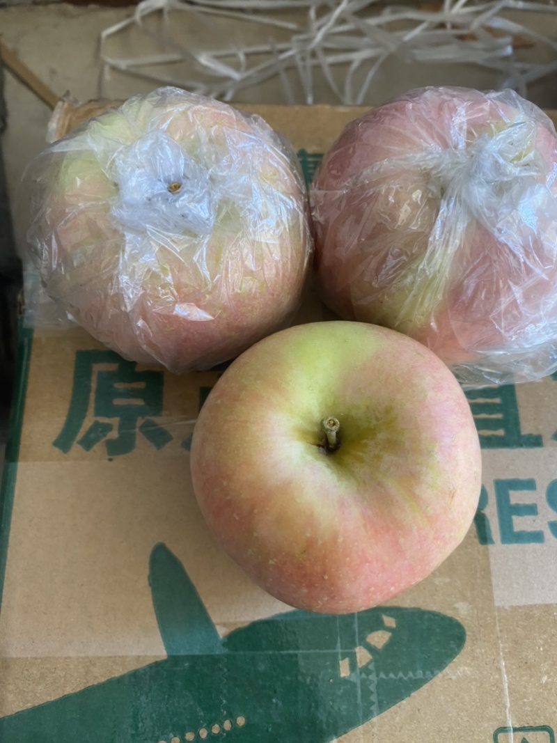 早熟红富士苹果