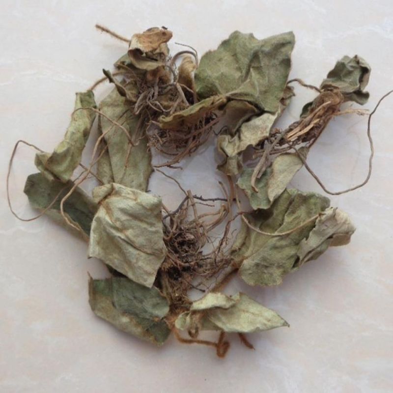 兔儿风，草药，杏香兔儿风，产地直供，一手货源，