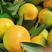 湖北柑橘，支持各种电商，市场，出口质量有保证货源充足